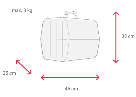 Baggage Iberia Express