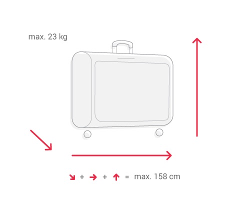 iberia international baggage